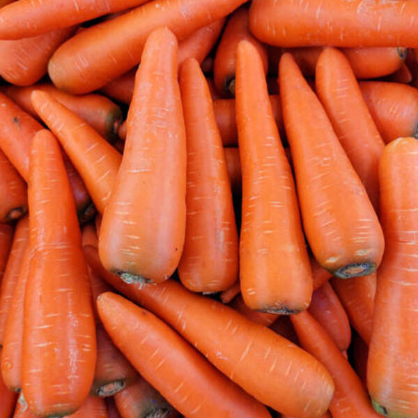 Carottes BIO - 500g