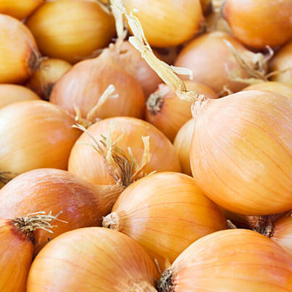 Oignons jaunes BIO - 500g