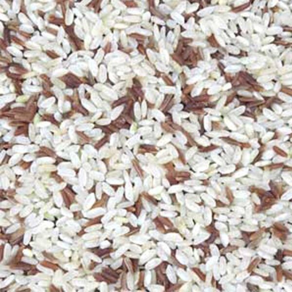 Riz IGP duo BIO 100g VRAC