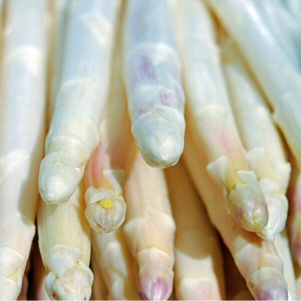 Asperges blanches - 500g