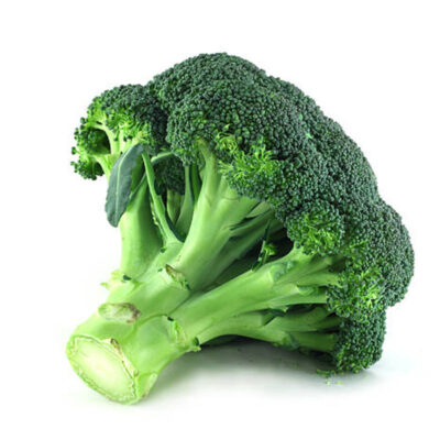 Brocoli BIO - 1 tête