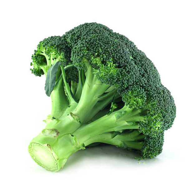 Brocoli BIO - 1 tête