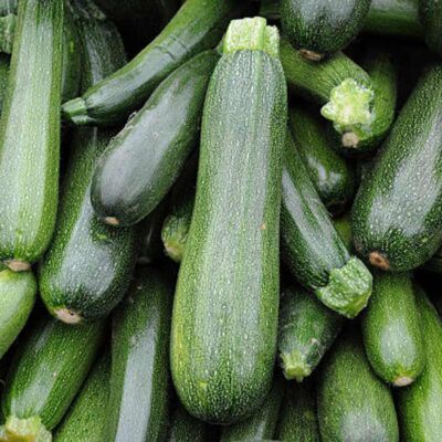 Courgette BIO - 250g ( à partir du 20/05)