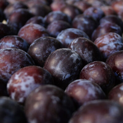 Prune rouge BIO - 250g
