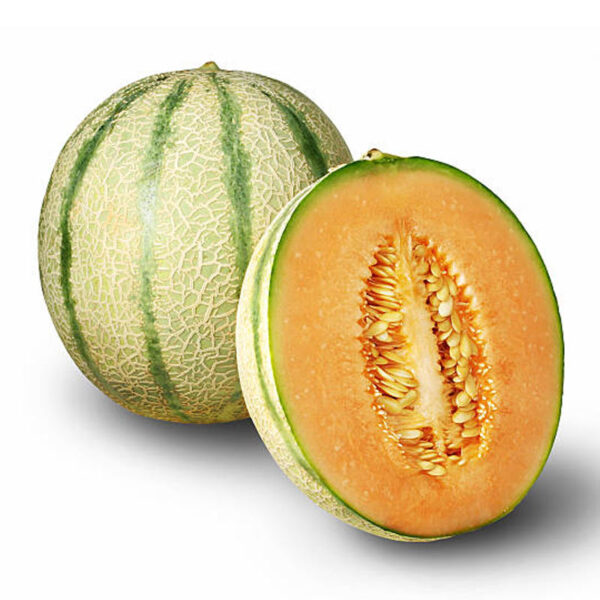 Melon charentais BIO - 1 pièce