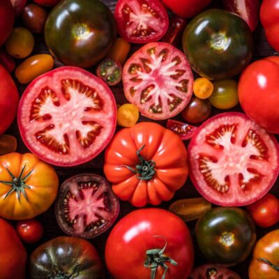 Tomates BIO Couleurs- 500g