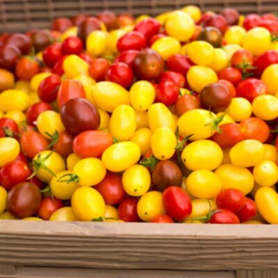 Tomates BIO cerises- 250g