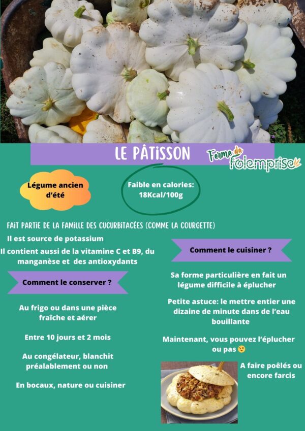 Pâtisson BIO - 1 pièce – Image 2