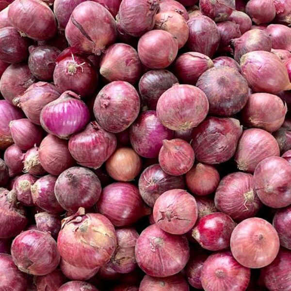 Oignons rouges BIO - 500g
