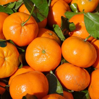 Mandarine BIO - 500g